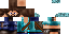 Texture for Steve