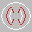 Texture for widows scope
