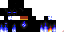 Texture for stepan
