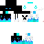 Texture for ender