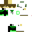 Texture for devon512