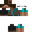 Texture for Steve inteligente