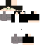 Texture for dion