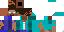 Texture for steve