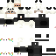 Texture for panda