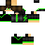 Texture for SaSa