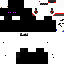 Texture for enderboy