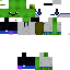 Texture for Turtle boyy