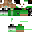 Texture for ds