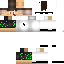 Texture for ds