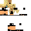 Texture for Ninja