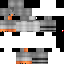 Texture for built diffrent pigeon