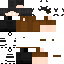 Texture for  