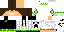 Texture for char