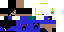 Texture for Despentser