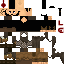 Texture for Viking