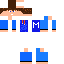 Texture for markijan