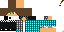 Texture for ws2