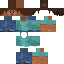 Texture for steve bigodão