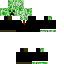 Texture for minecraft skin