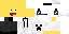 Texture for fei