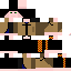 Texture for Wanderer