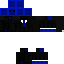 Texture for Steve