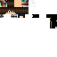 Texture for Tinex