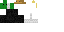 Texture for Duck