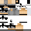 Texture for Steve