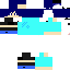 Texture for zill2f