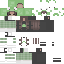 Texture for sapinho mo