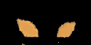 Texture for Creator Hunter