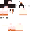 Texture for Goose