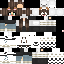 Texture for ds