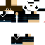 Texture for MCfiury