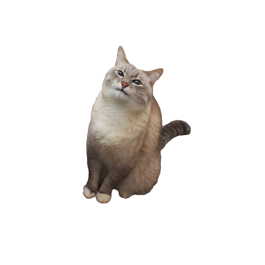 Texture for Cat Totem
