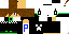Texture for steve