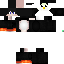 Texture for pynguin_pvp