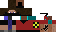 Texture for BORSH