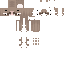 Texture for SV Plantilla