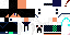 Texture for Bixel