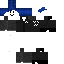 Texture for guest