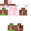 Texture for skin minecraft
