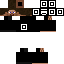 Texture for Steve