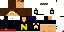 Texture for NetronGamer