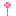 Texture for allium