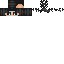 Texture for Igor Head