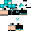 Texture for sdaa
