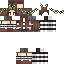 Texture for   